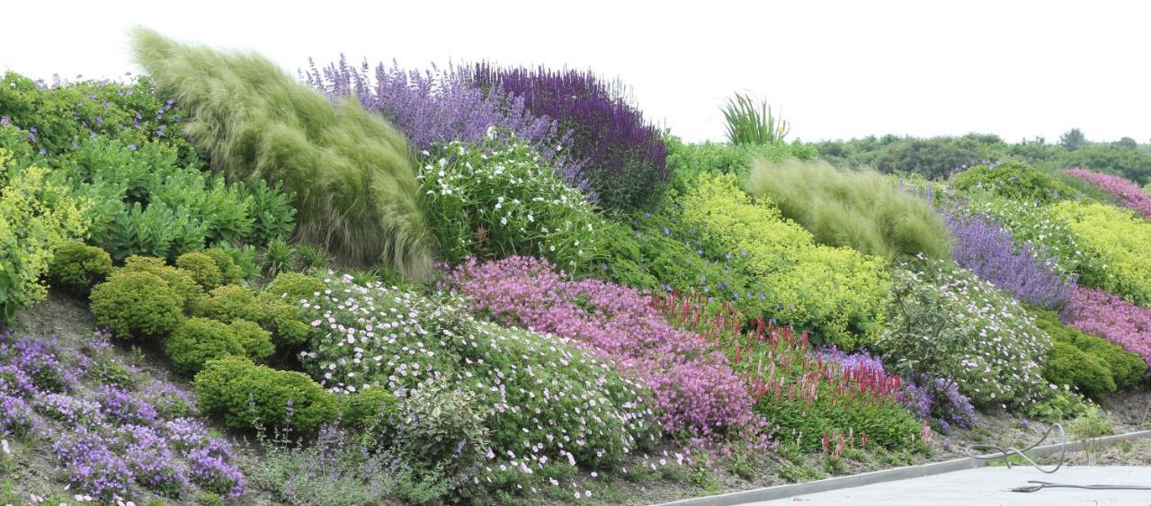 Duinvilla Aan De Zee B&B Zoutelande Bagian luar foto